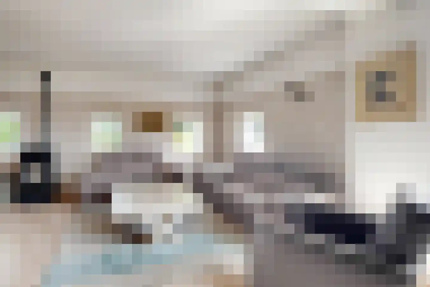 Bredaschedijk 2 Zevenbergschen Hoek thumbnail 16