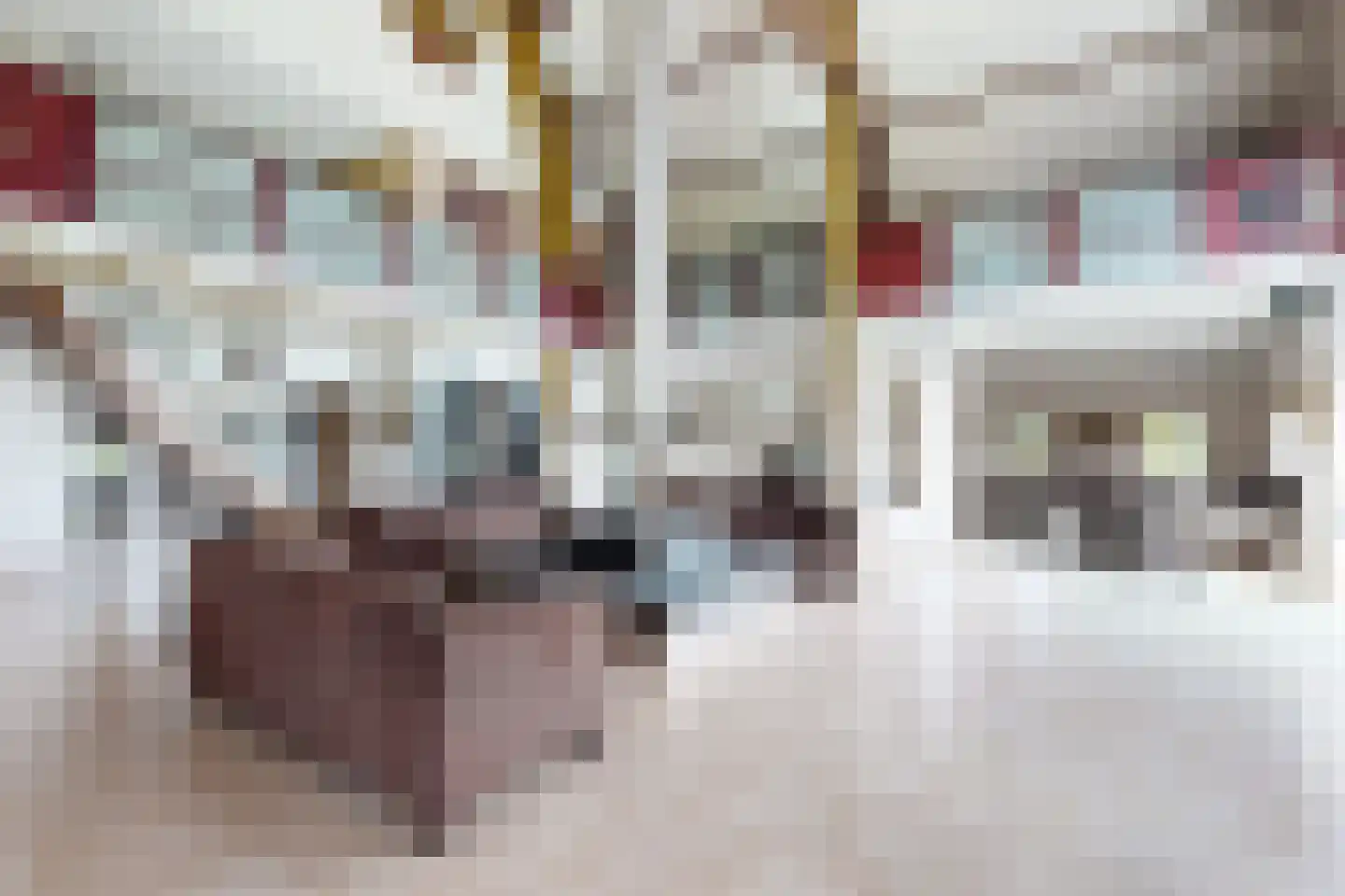Bredaschedijk 2 Zevenbergschen Hoek thumbnail 22