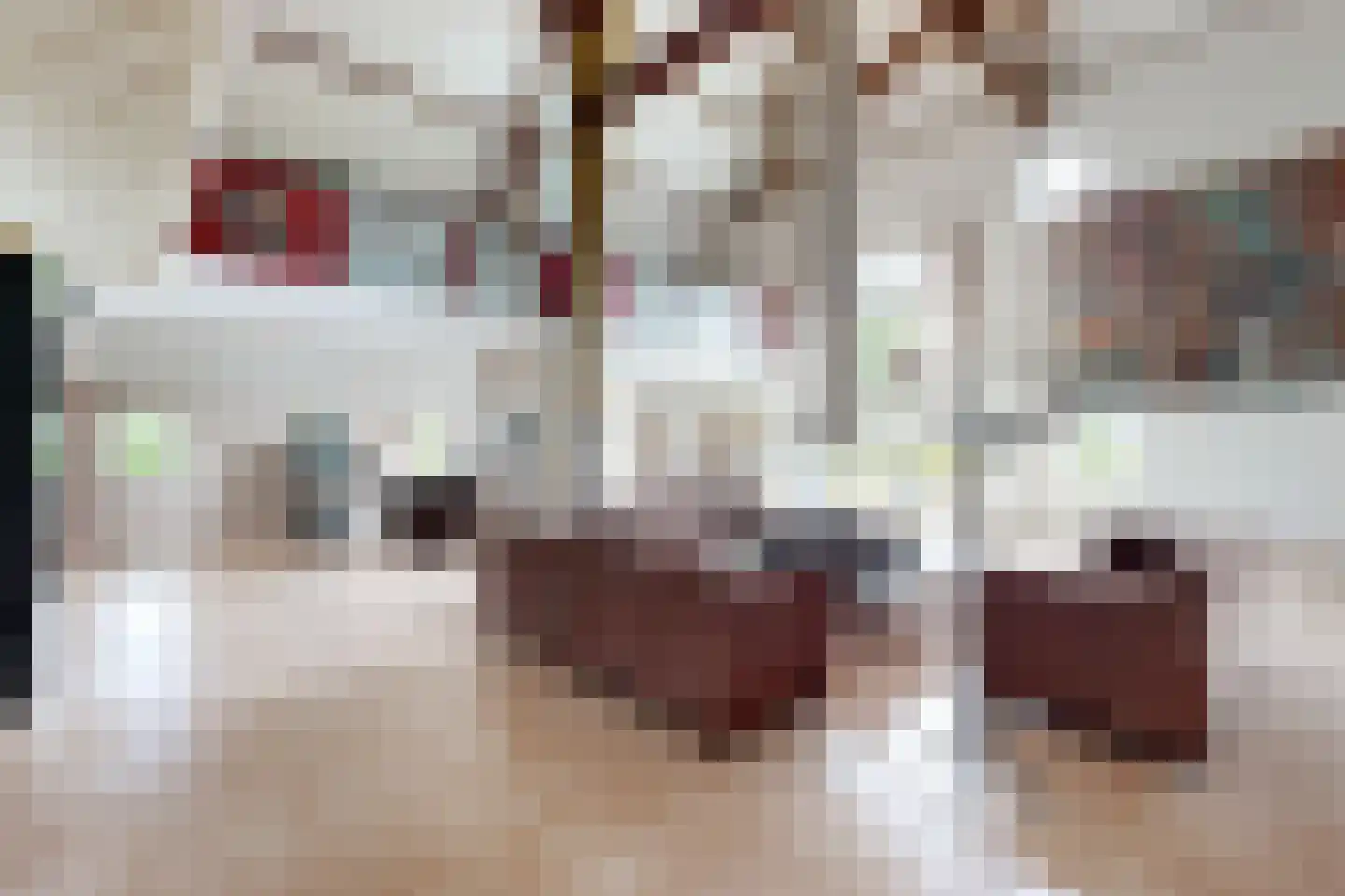 Bredaschedijk 2 Zevenbergschen Hoek thumbnail 24