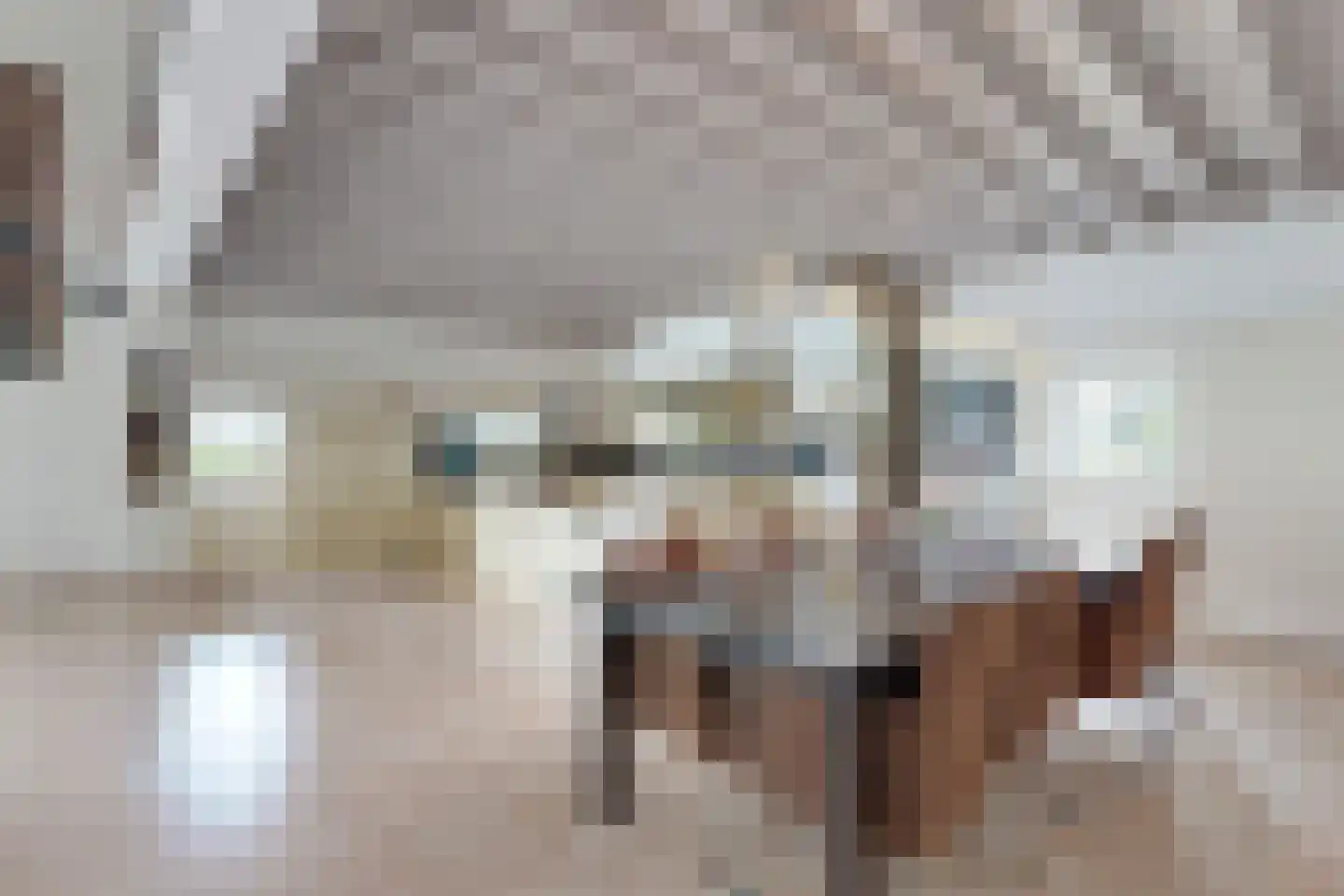 Bredaschedijk 2 Zevenbergschen Hoek thumbnail 29