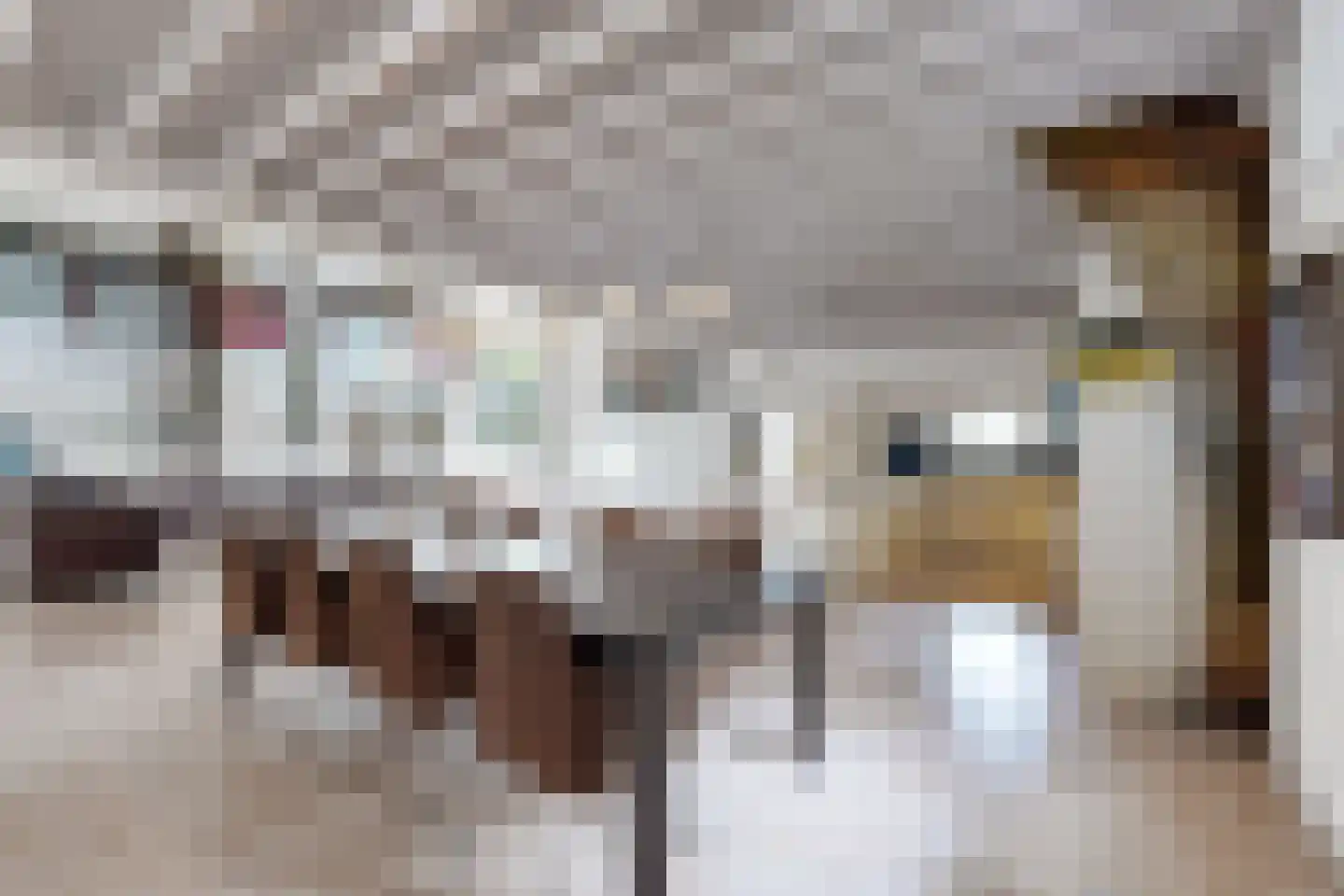 Bredaschedijk 2 Zevenbergschen Hoek thumbnail 30