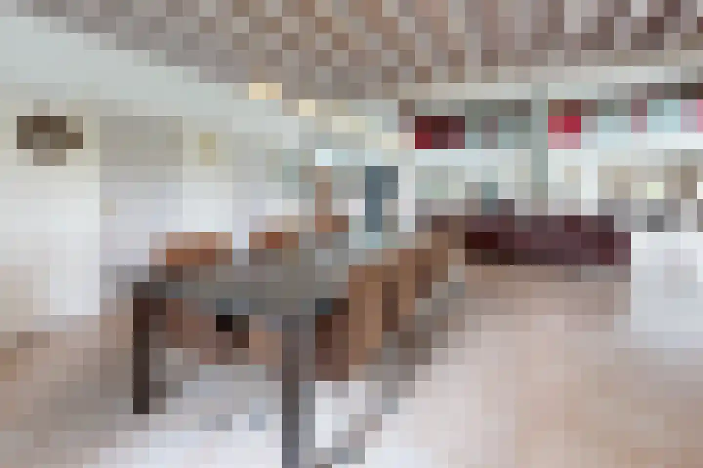 Bredaschedijk 2 Zevenbergschen Hoek thumbnail 31