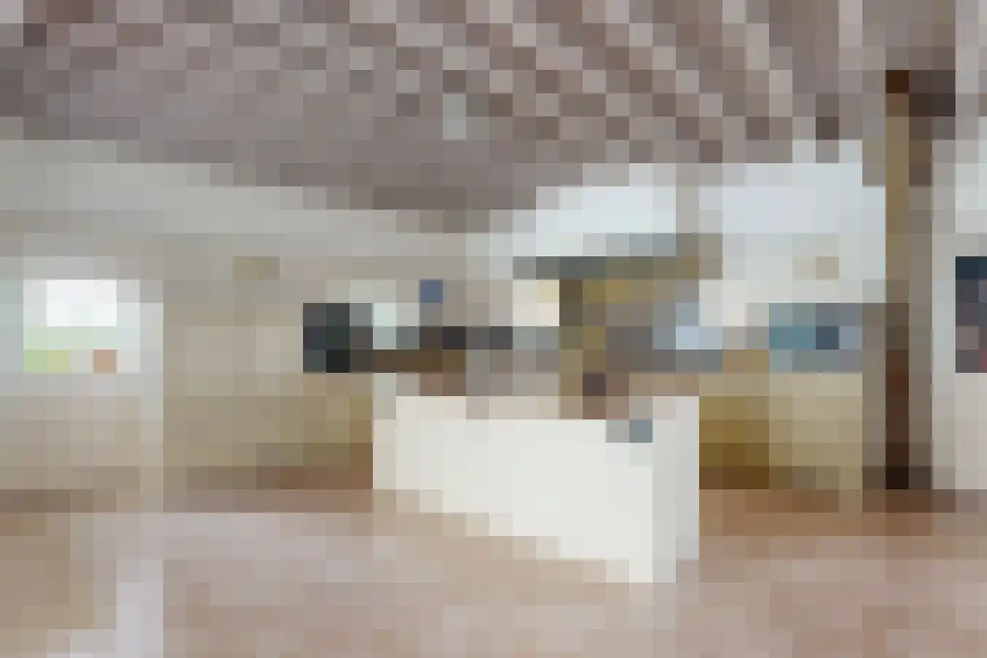 Bredaschedijk 2 Zevenbergschen Hoek thumbnail 33