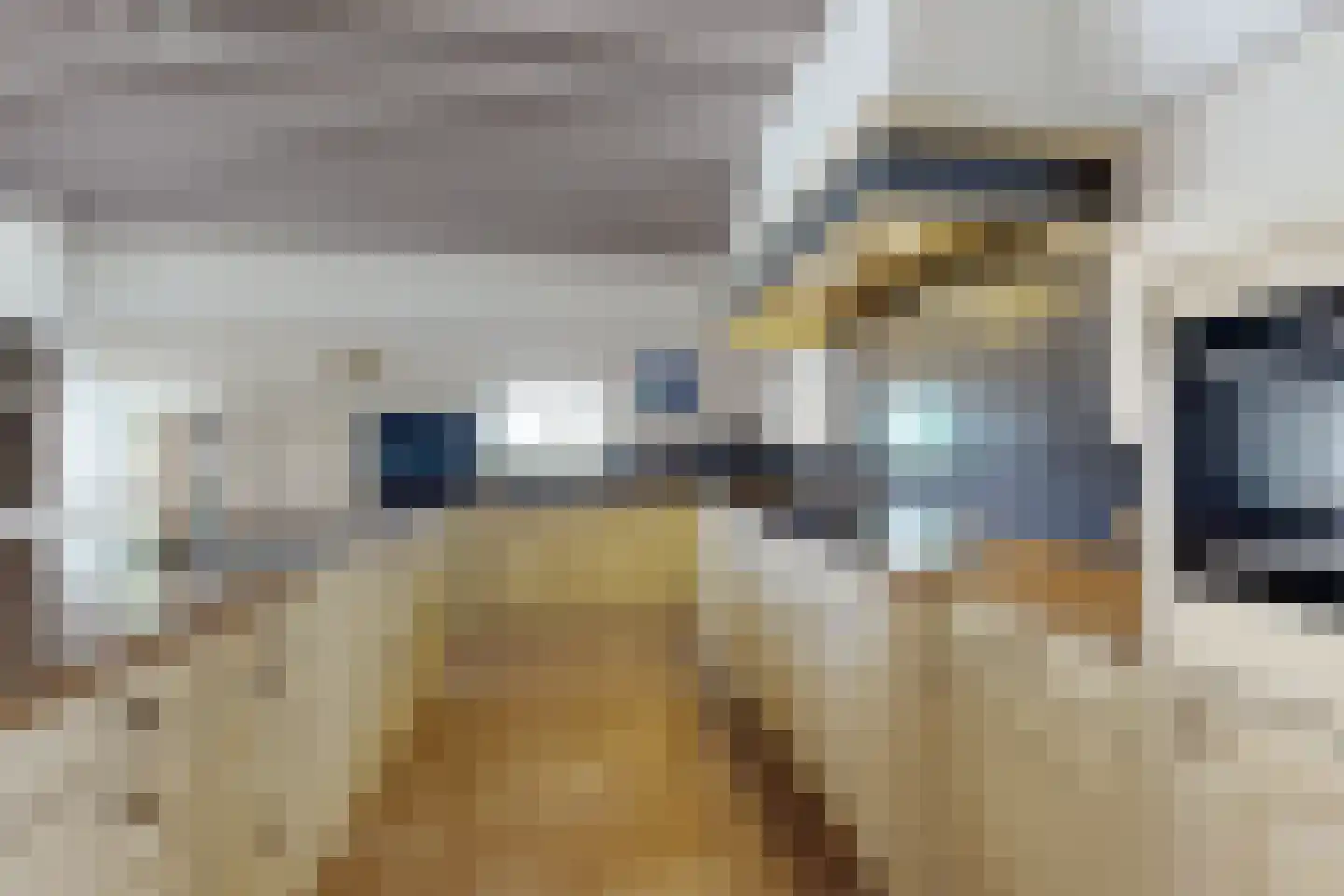 Bredaschedijk 2 Zevenbergschen Hoek thumbnail 35