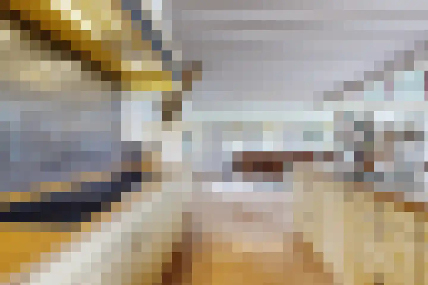 Bredaschedijk 2 Zevenbergschen Hoek thumbnail 36