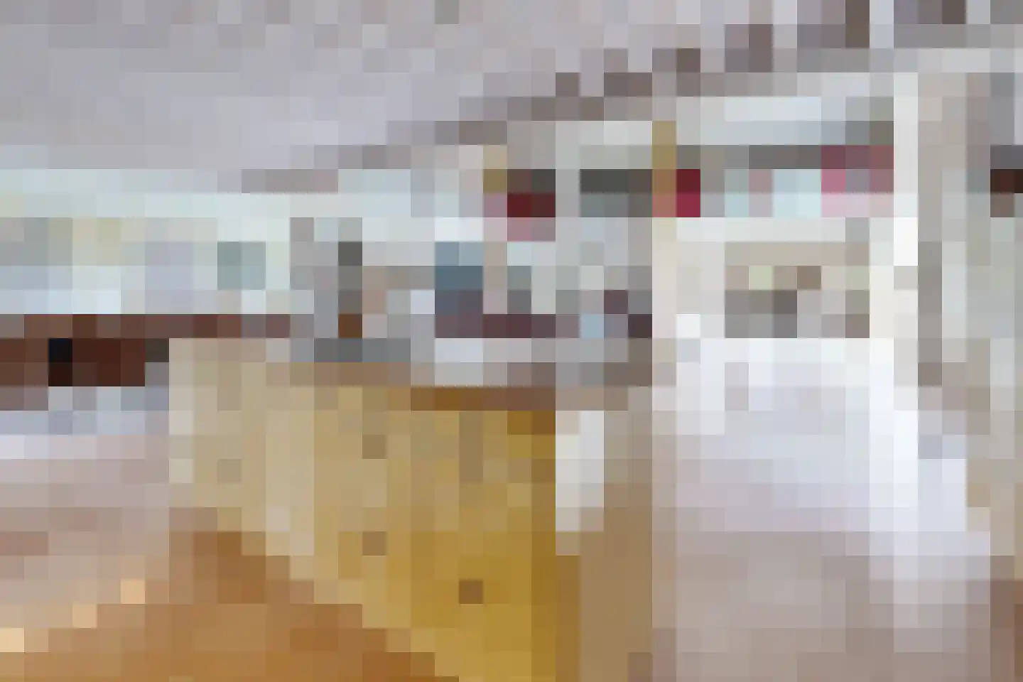 Bredaschedijk 2 Zevenbergschen Hoek thumbnail 37