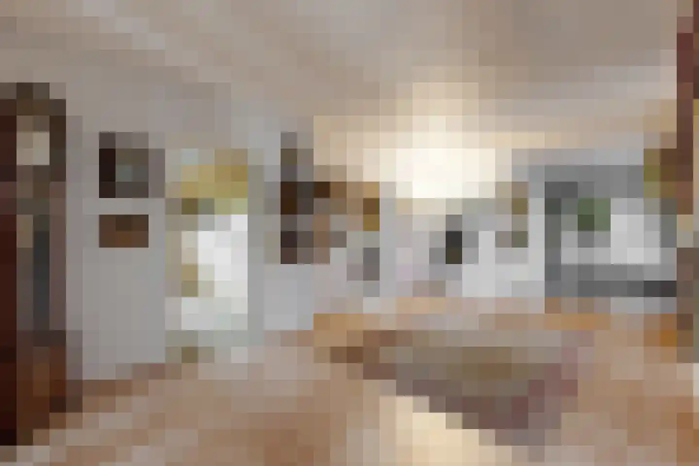 Bredaschedijk 2 Zevenbergschen Hoek thumbnail 38