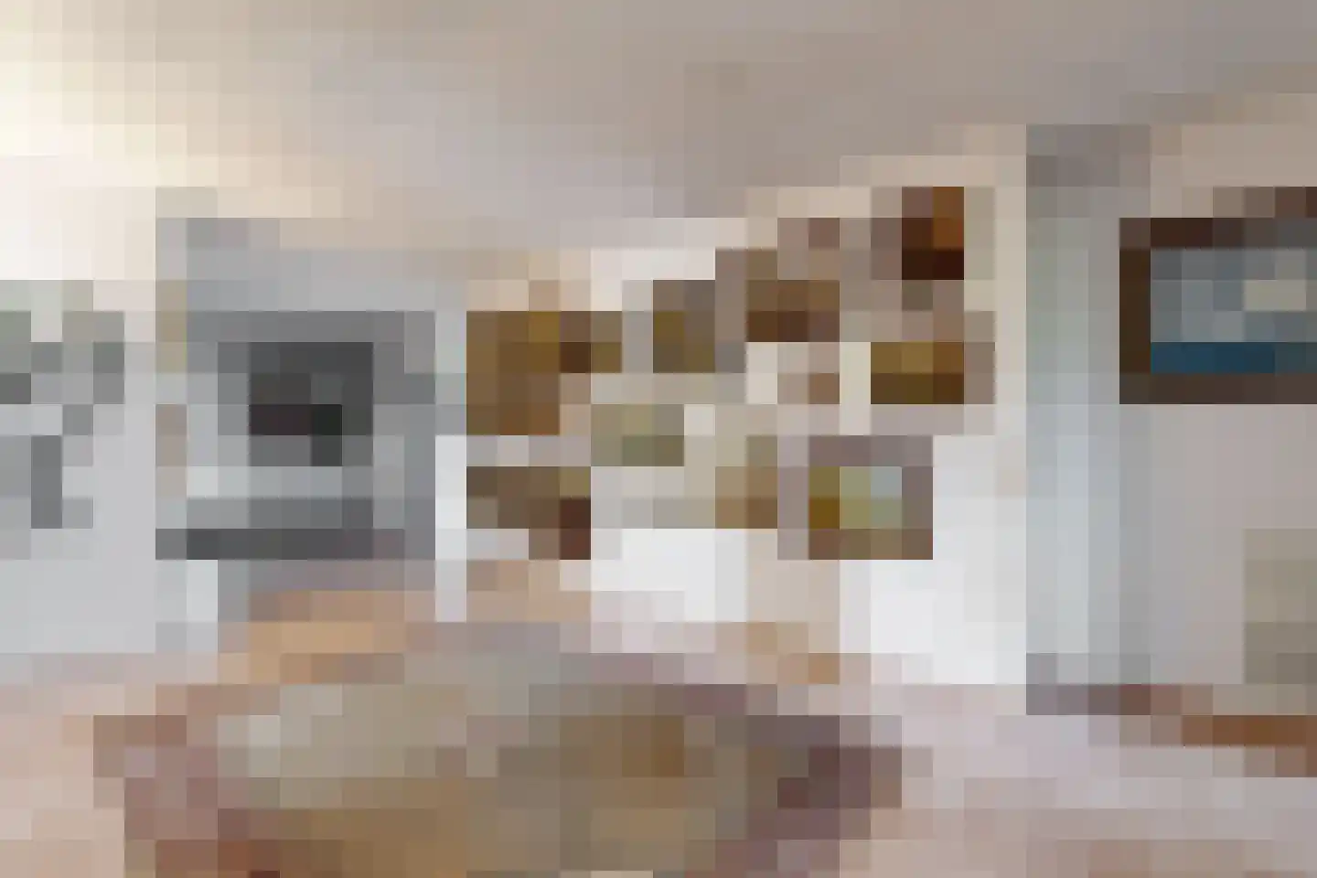 Bredaschedijk 2 Zevenbergschen Hoek thumbnail 39