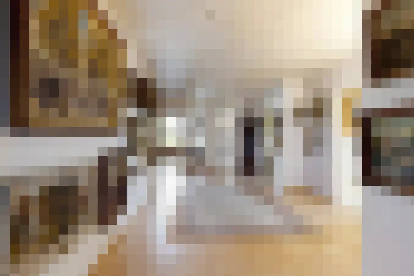 Bredaschedijk 2 Zevenbergschen Hoek thumbnail 40