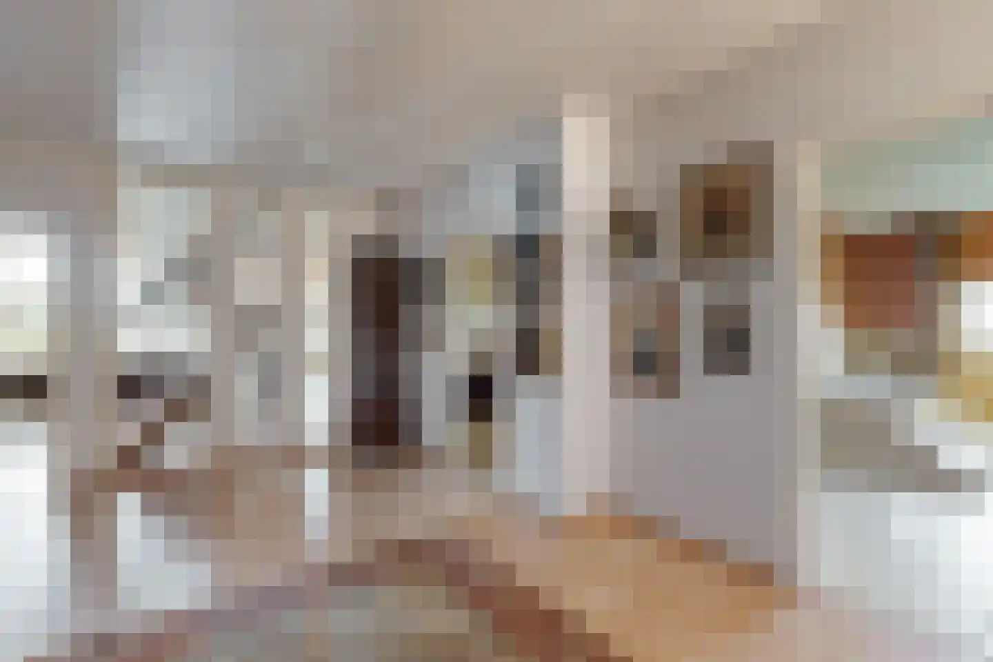 Bredaschedijk 2 Zevenbergschen Hoek thumbnail 41
