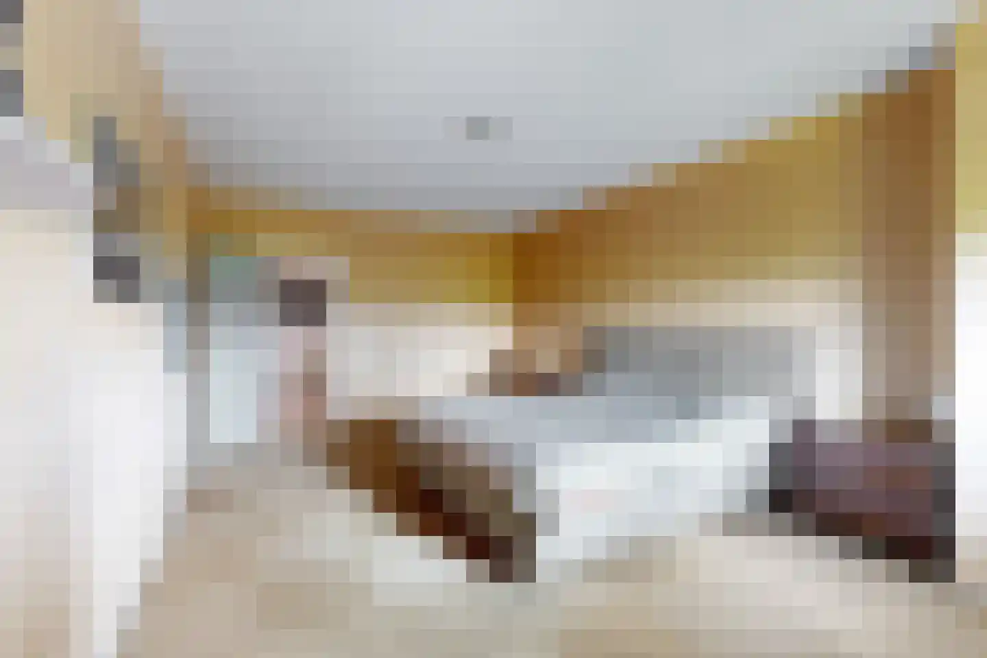Bredaschedijk 2 Zevenbergschen Hoek thumbnail 42