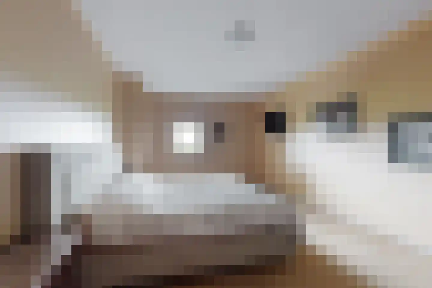 Bredaschedijk 2 Zevenbergschen Hoek thumbnail 44