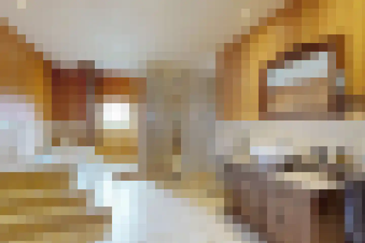 Bredaschedijk 2 Zevenbergschen Hoek thumbnail 45