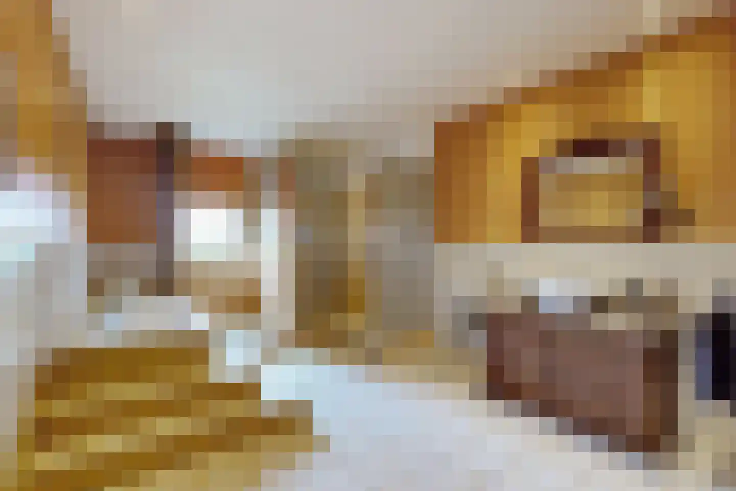 Bredaschedijk 2 Zevenbergschen Hoek thumbnail 46