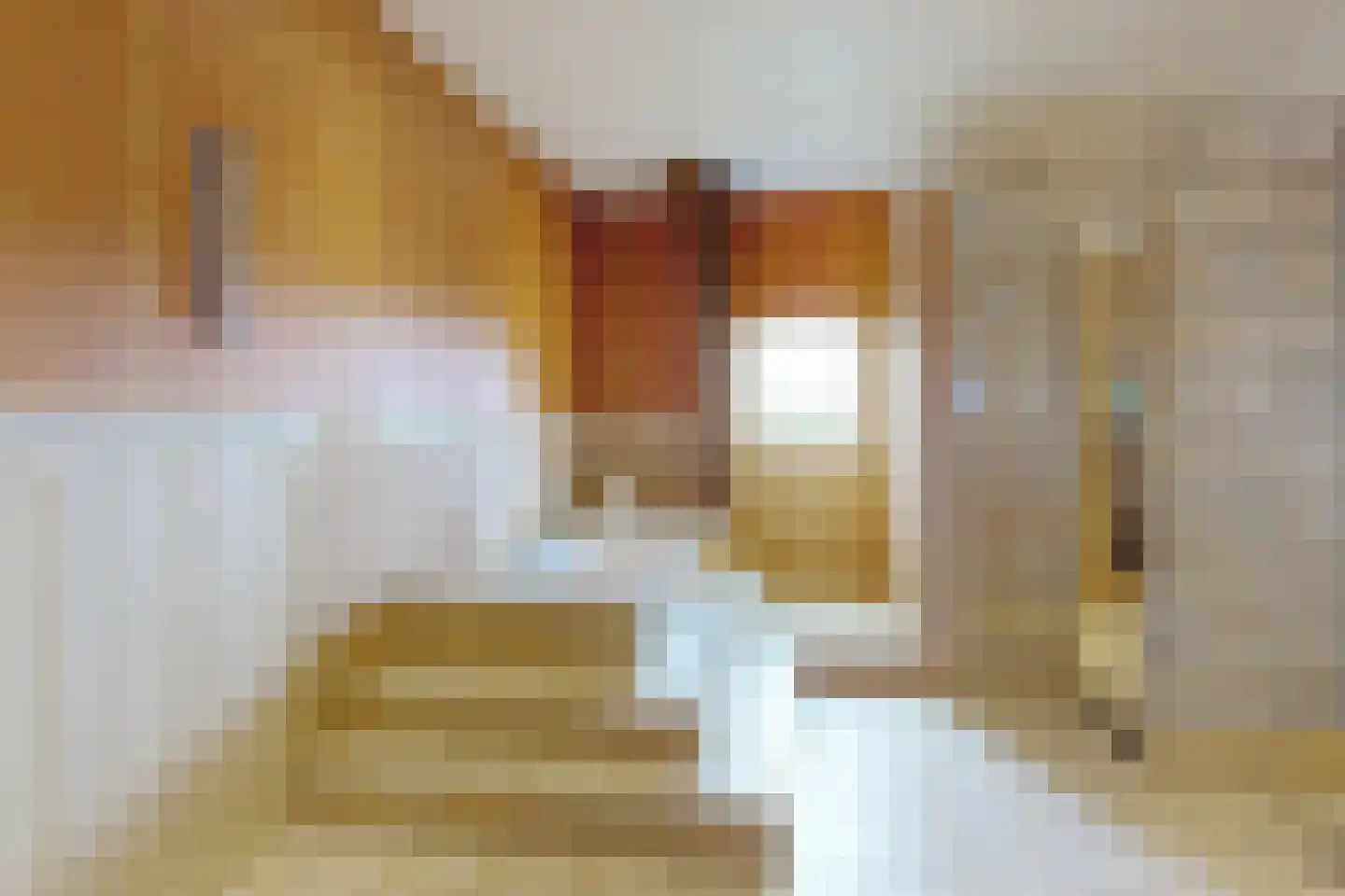 Bredaschedijk 2 Zevenbergschen Hoek thumbnail 47
