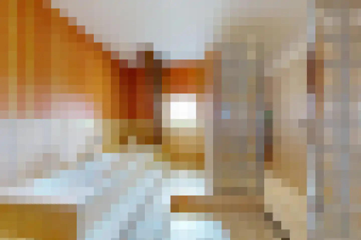 Bredaschedijk 2 Zevenbergschen Hoek thumbnail 48