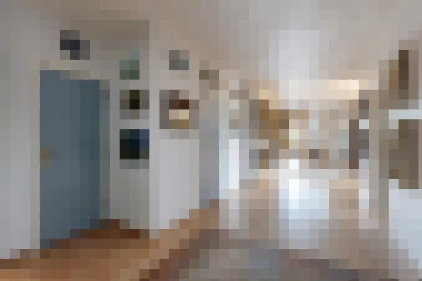 Bredaschedijk 2 Zevenbergschen Hoek thumbnail 49
