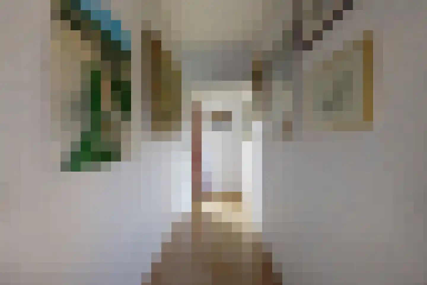 Bredaschedijk 2 Zevenbergschen Hoek thumbnail 54