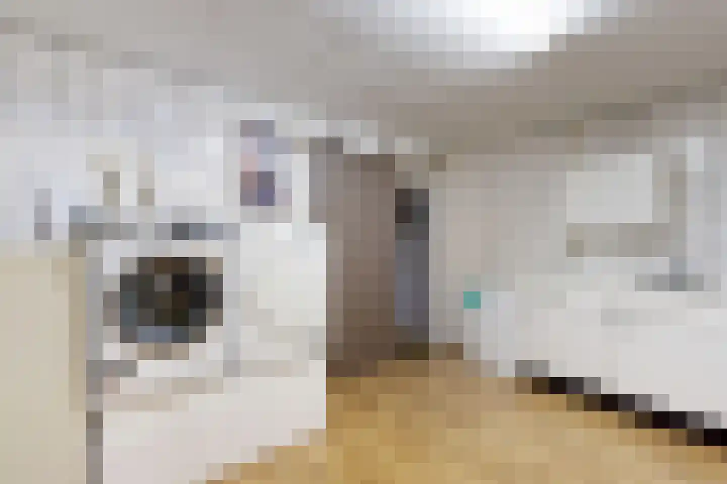 Bredaschedijk 2 Zevenbergschen Hoek thumbnail 56