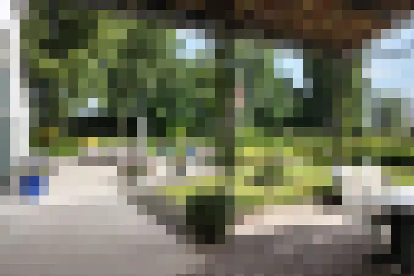 Bredaschedijk 2 Zevenbergschen Hoek thumbnail 6