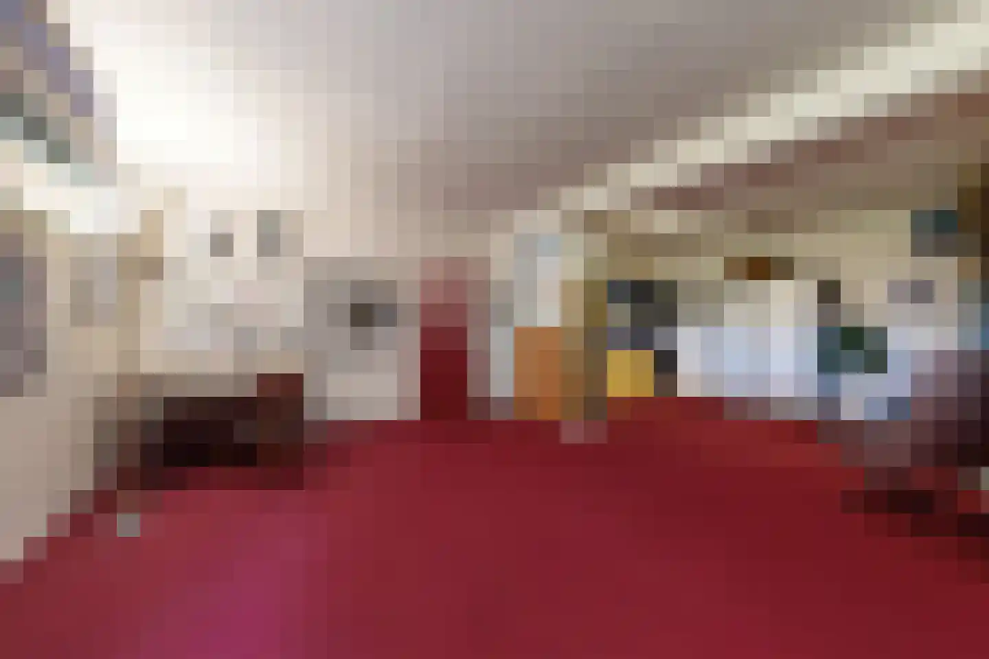 Bredaschedijk 2 Zevenbergschen Hoek thumbnail 62