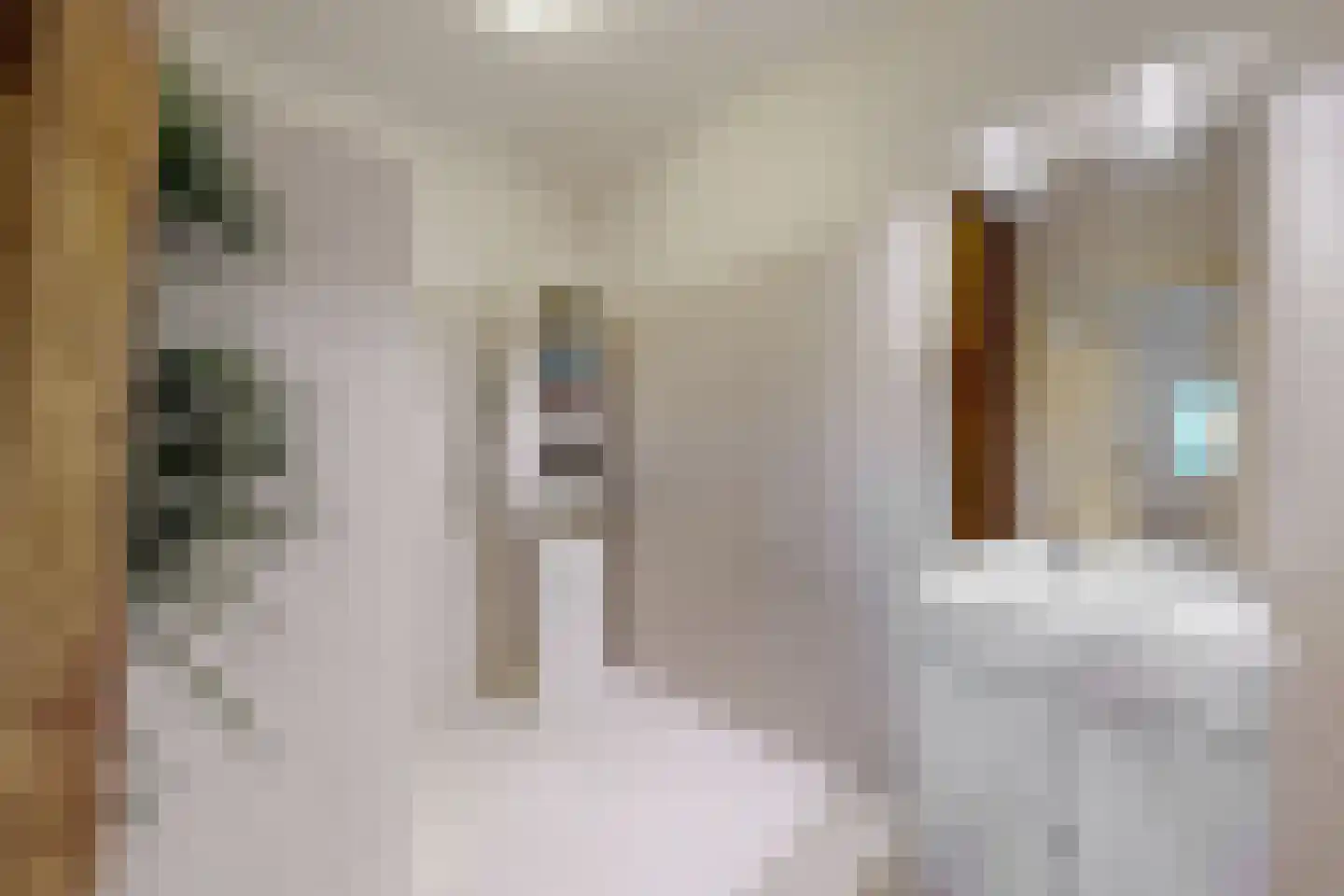 Bredaschedijk 2 Zevenbergschen Hoek thumbnail 65