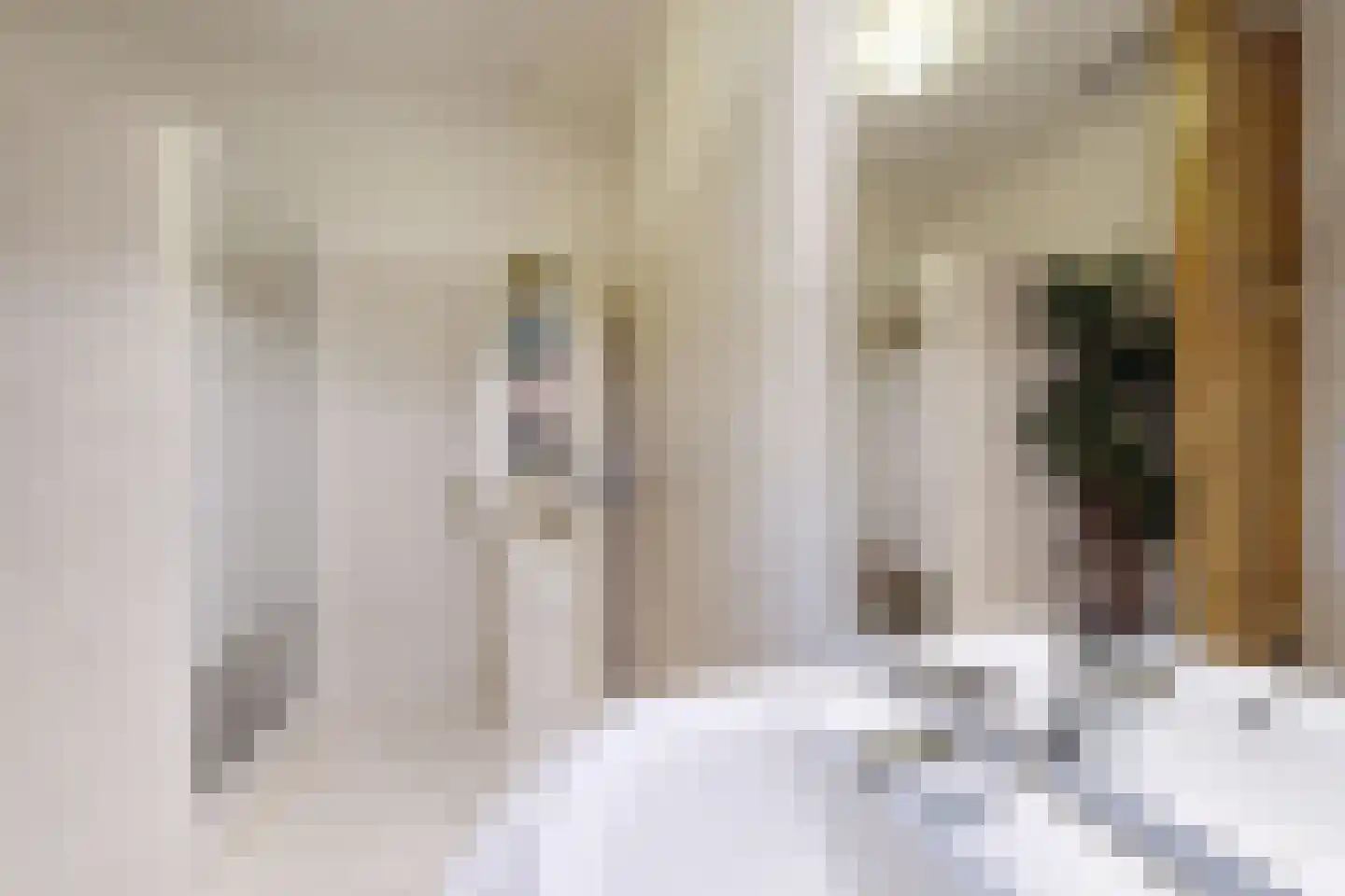Bredaschedijk 2 Zevenbergschen Hoek thumbnail 66