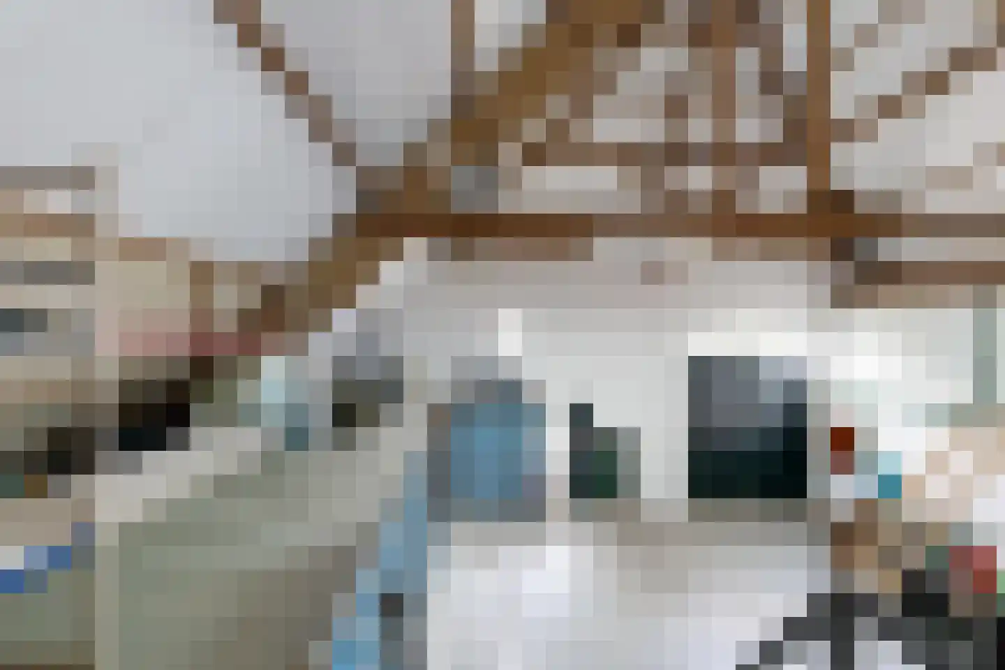 Bredaschedijk 2 Zevenbergschen Hoek thumbnail 74
