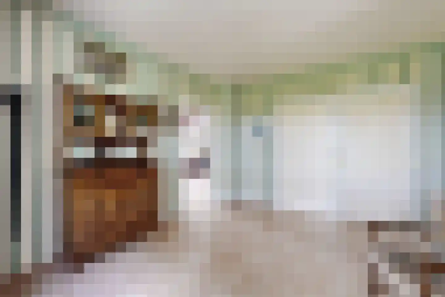 Bredaschedijk 2 Zevenbergschen Hoek thumbnail 8