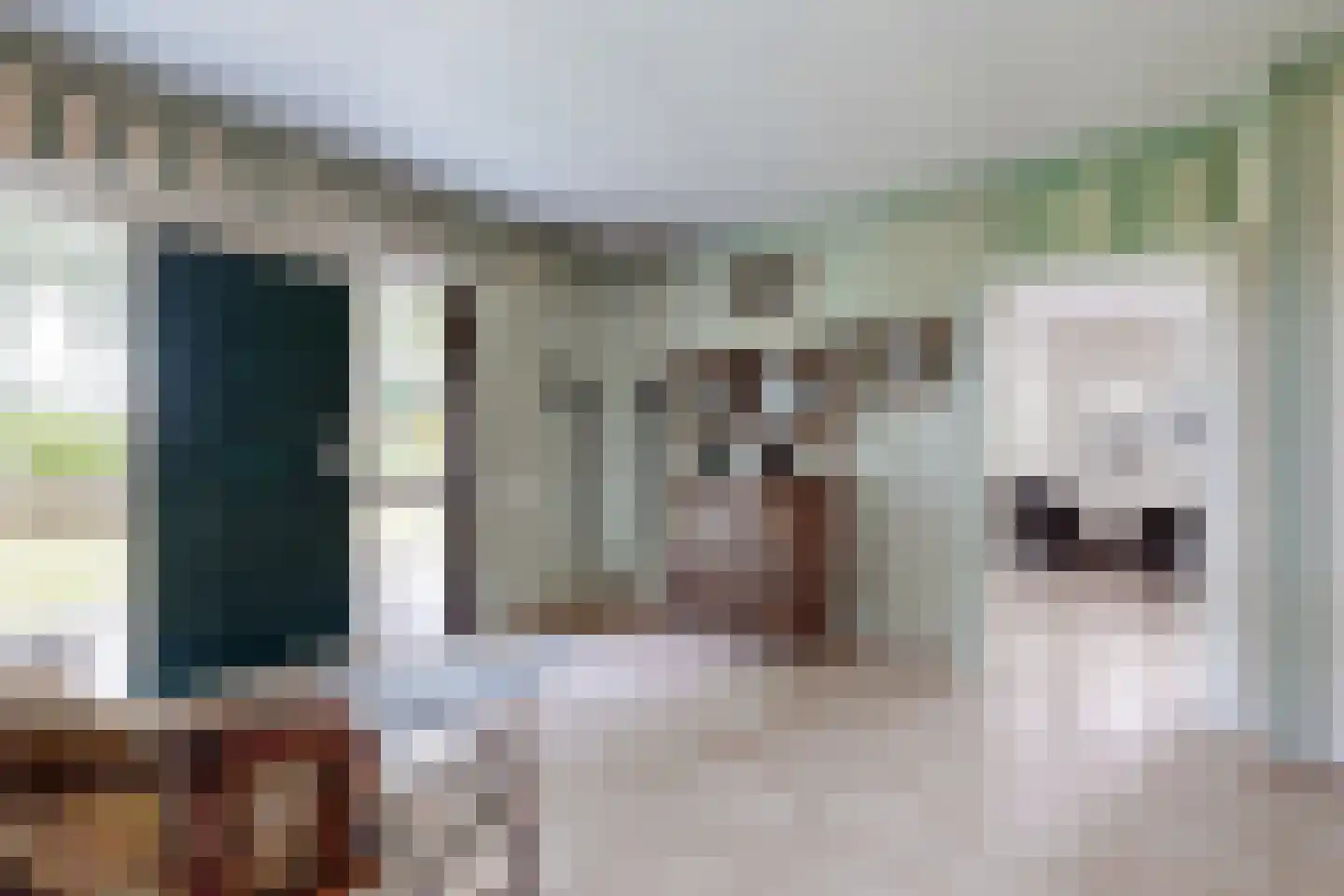 Bredaschedijk 2 Zevenbergschen Hoek thumbnail 9