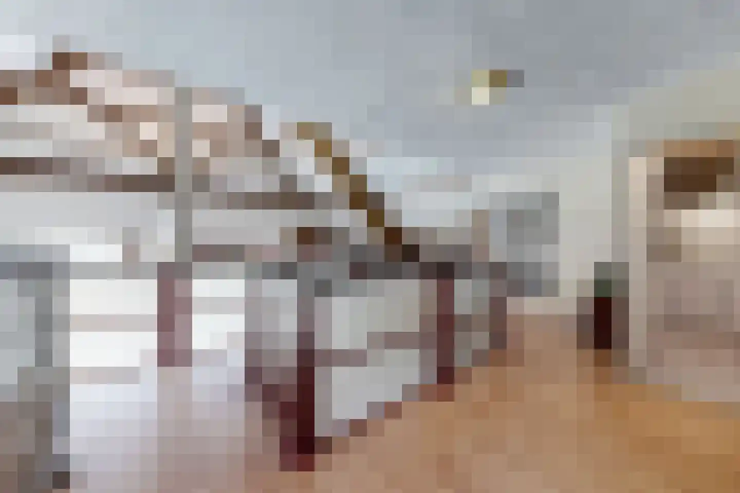Bredaschedijk 2 Zevenbergschen Hoek thumbnail 94