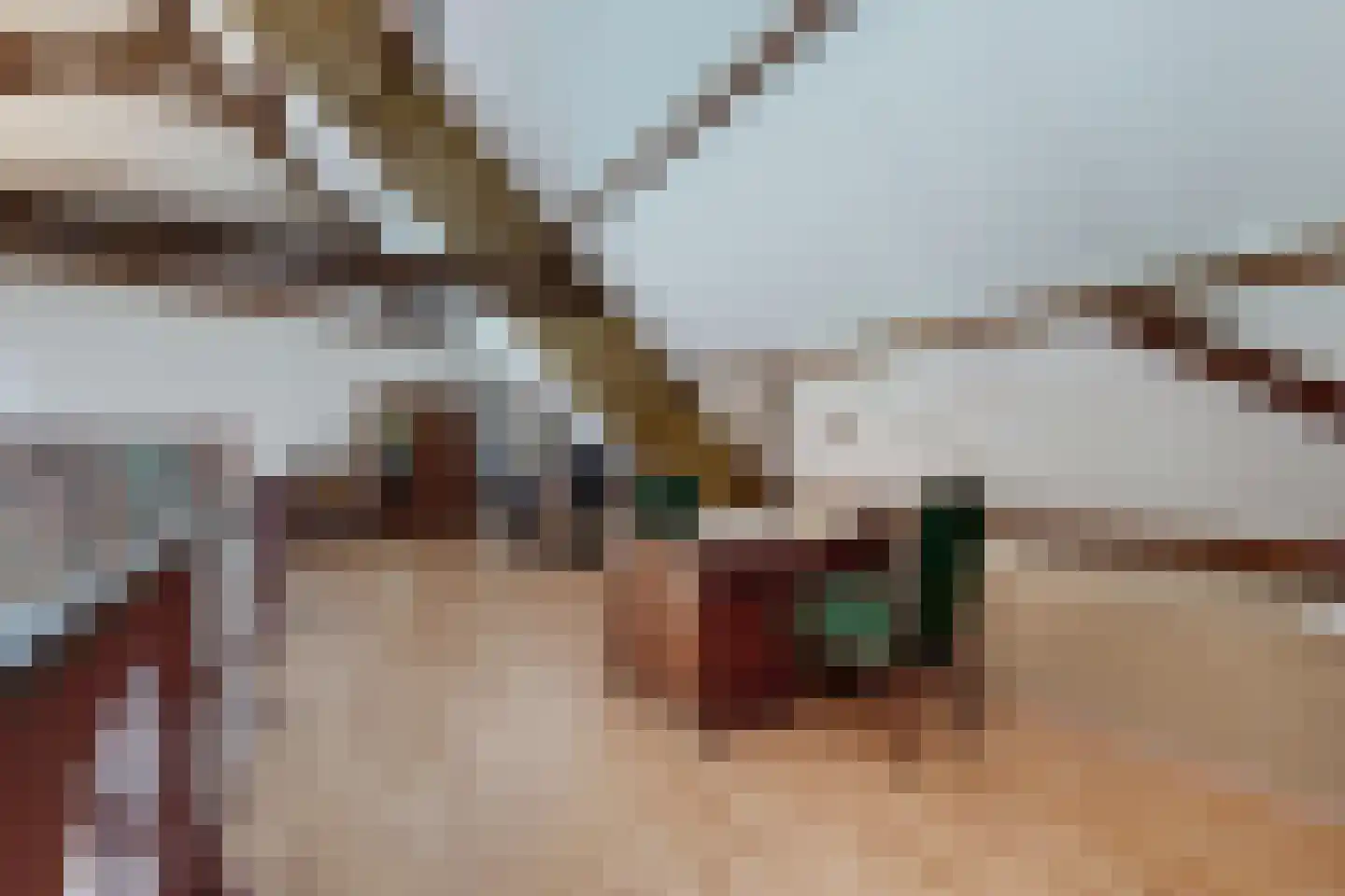 Bredaschedijk 2 Zevenbergschen Hoek thumbnail 96