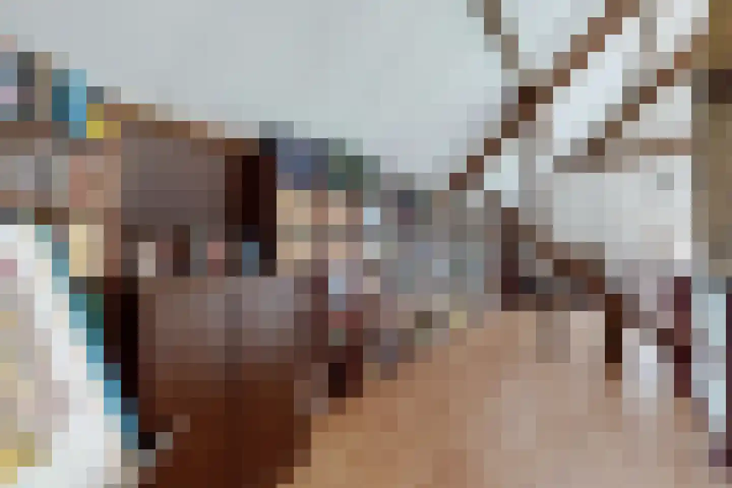 Bredaschedijk 2 Zevenbergschen Hoek thumbnail 99