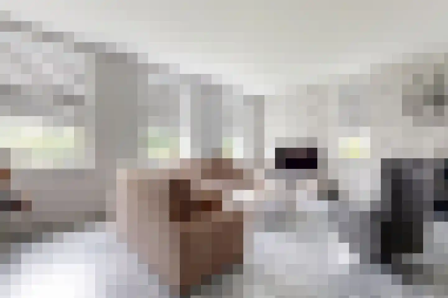 Bredaschedijk 4 Zevenbergschen Hoek thumbnail 11