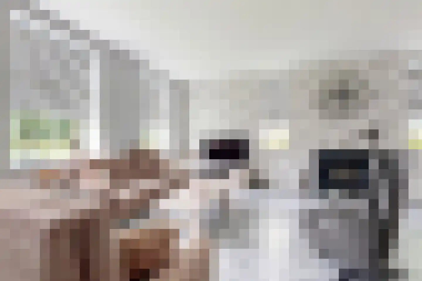 Bredaschedijk 4 Zevenbergschen Hoek thumbnail 13