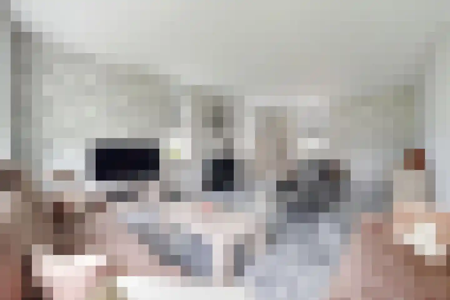 Bredaschedijk 4 Zevenbergschen Hoek thumbnail 15