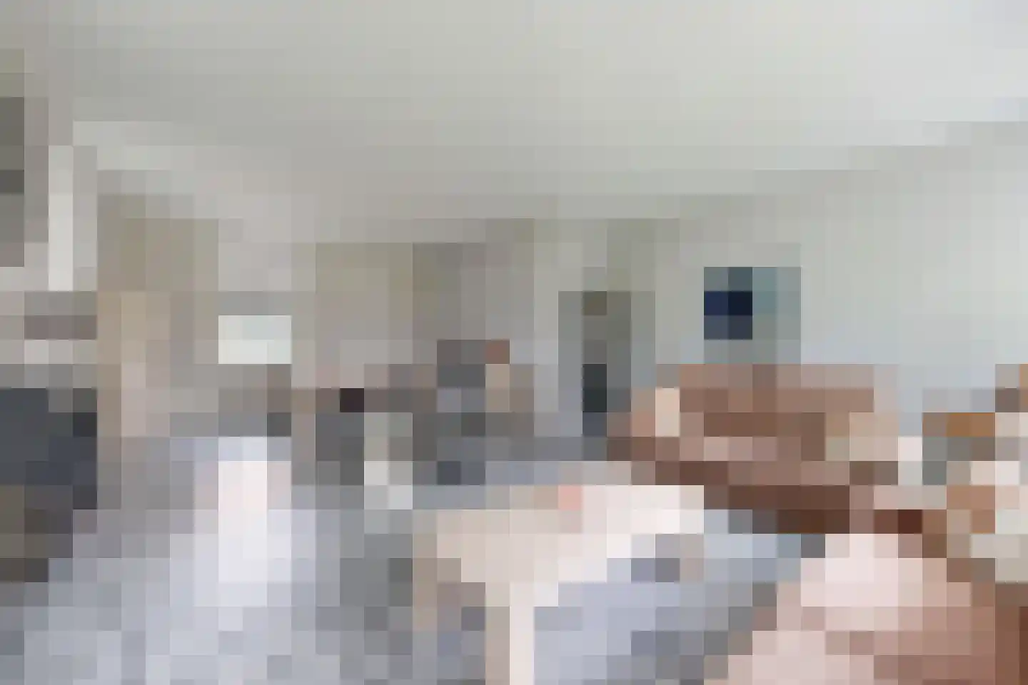 Bredaschedijk 4 Zevenbergschen Hoek thumbnail 16