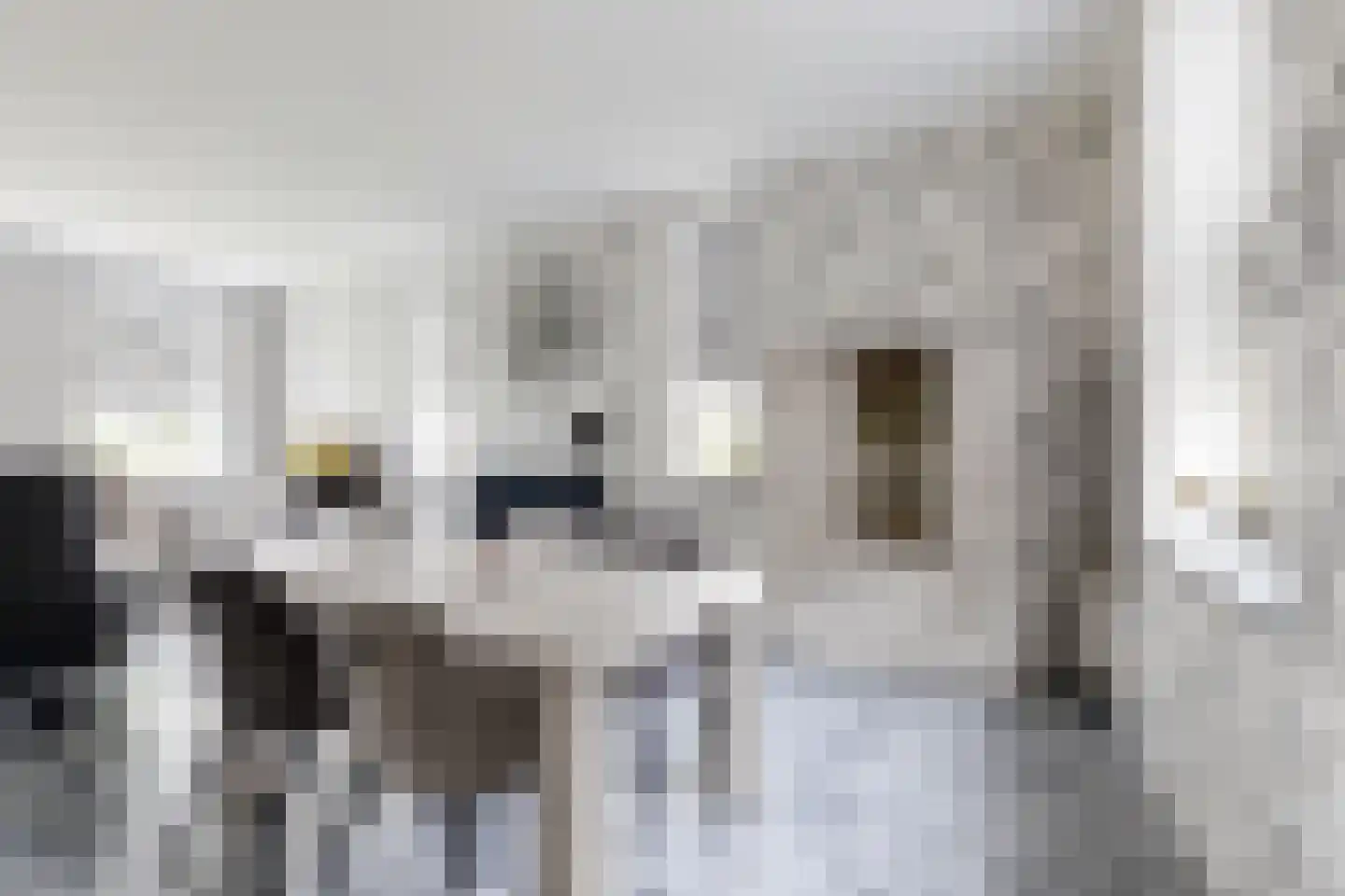 Bredaschedijk 4 Zevenbergschen Hoek thumbnail 21