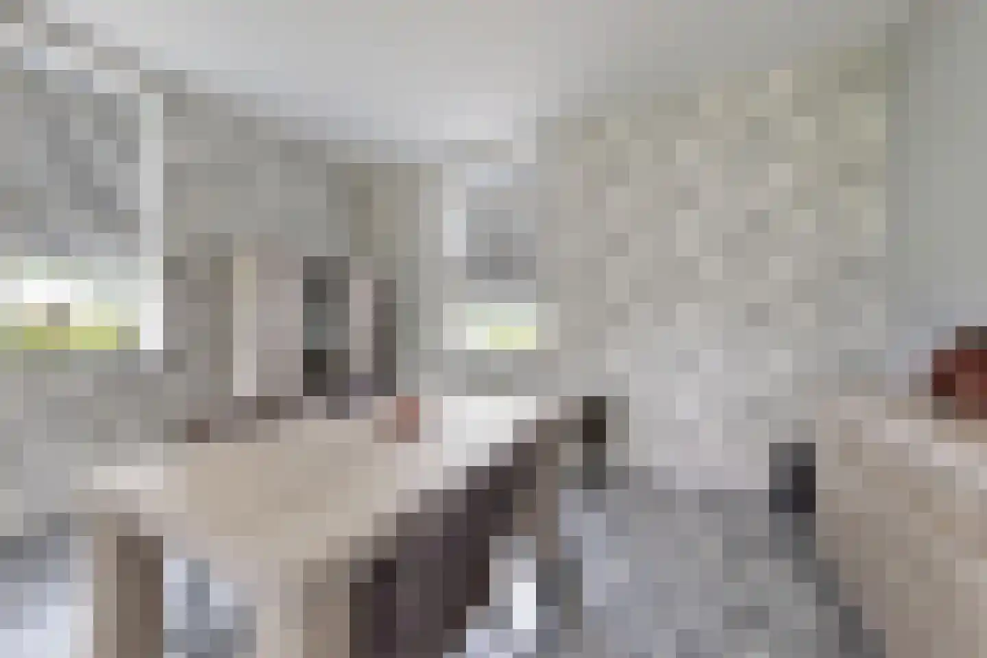 Bredaschedijk 4 Zevenbergschen Hoek thumbnail 22