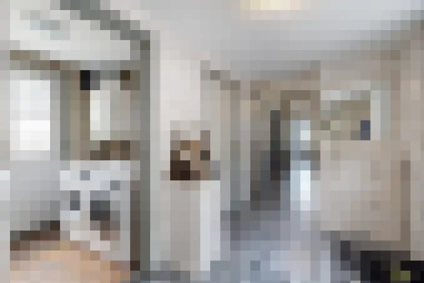 Bredaschedijk 4 Zevenbergschen Hoek thumbnail 30