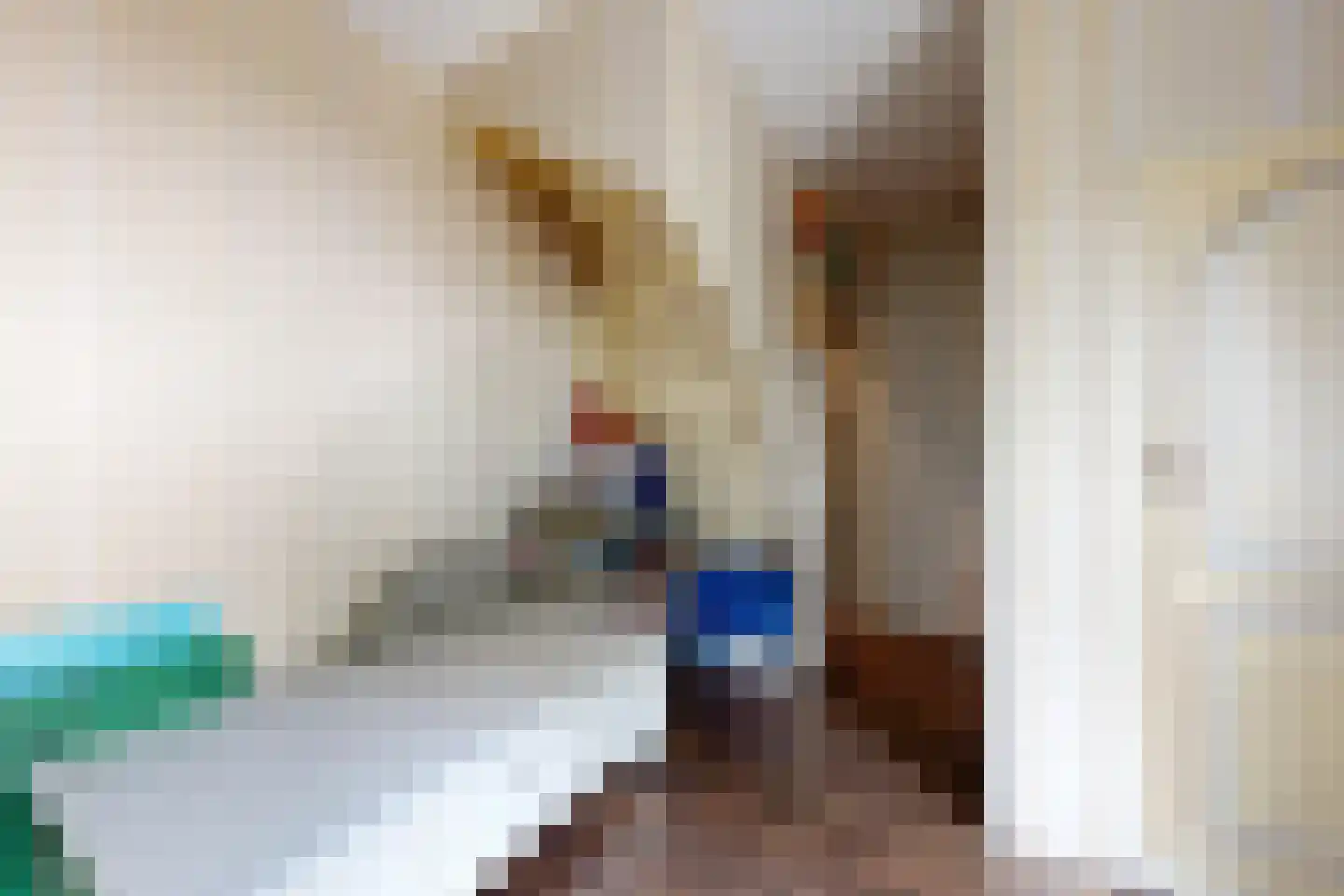Bredaschedijk 4 Zevenbergschen Hoek thumbnail 32