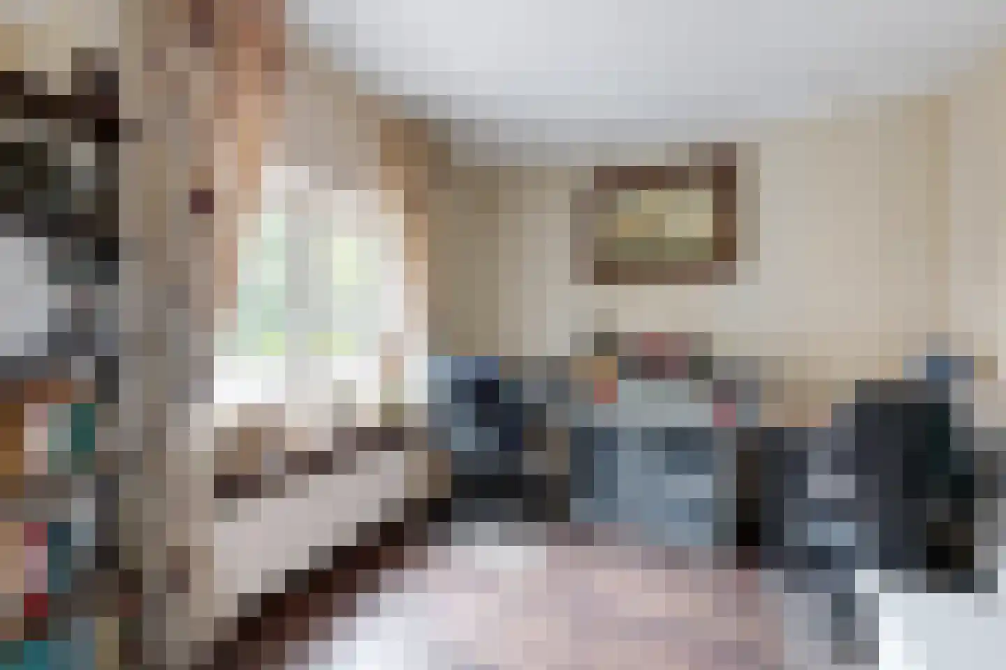 Bredaschedijk 4 Zevenbergschen Hoek thumbnail 34