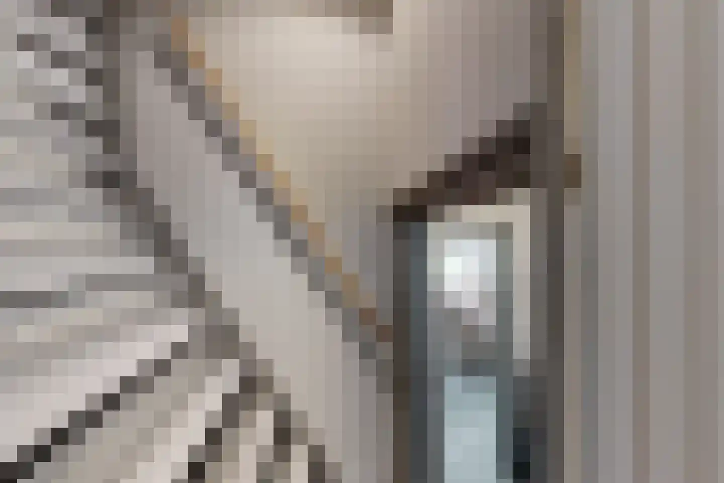 Bredaschedijk 4 Zevenbergschen Hoek thumbnail 36
