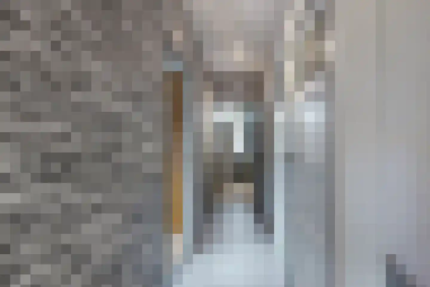 Bredaschedijk 4 Zevenbergschen Hoek thumbnail 38
