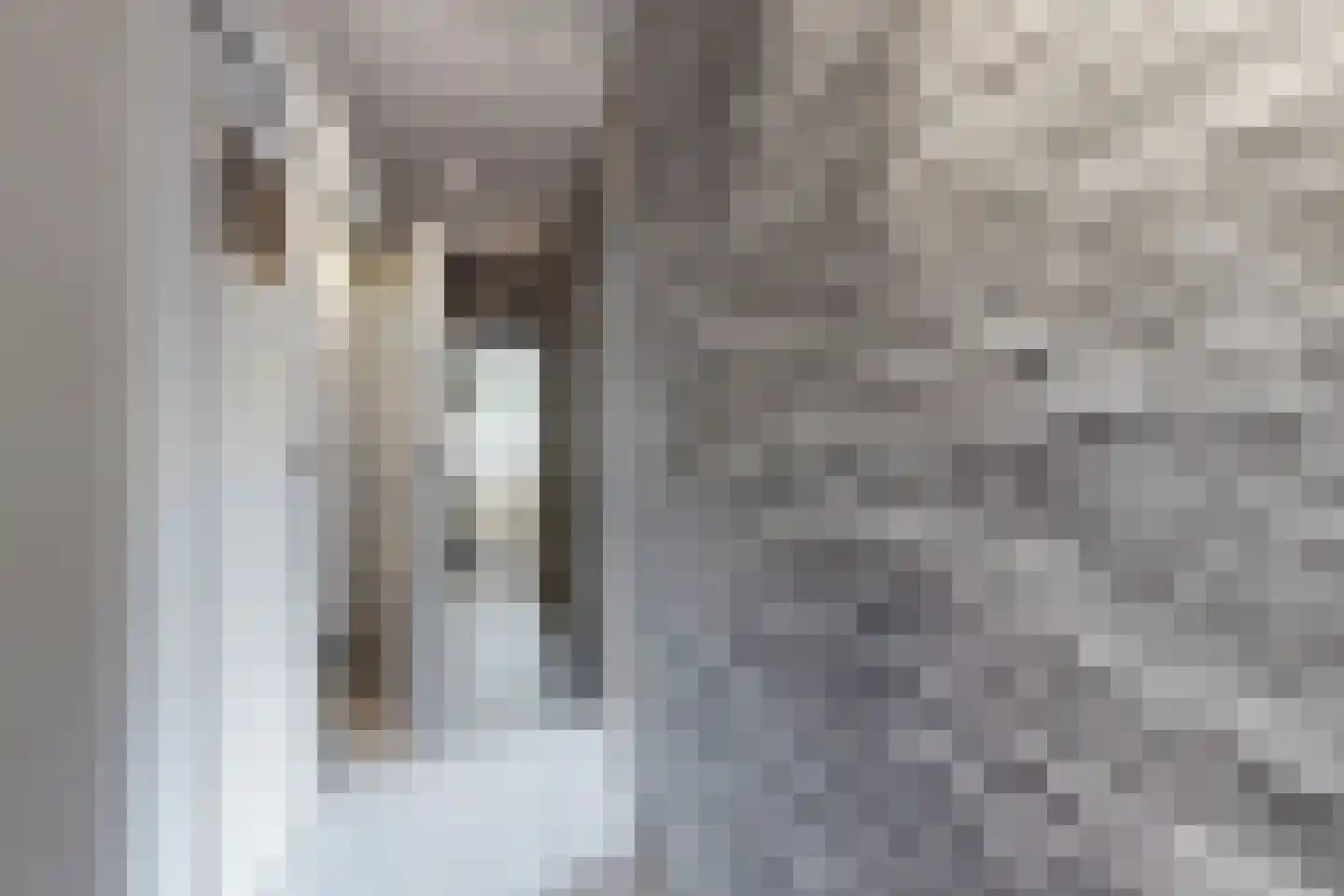 Bredaschedijk 4 Zevenbergschen Hoek thumbnail 39
