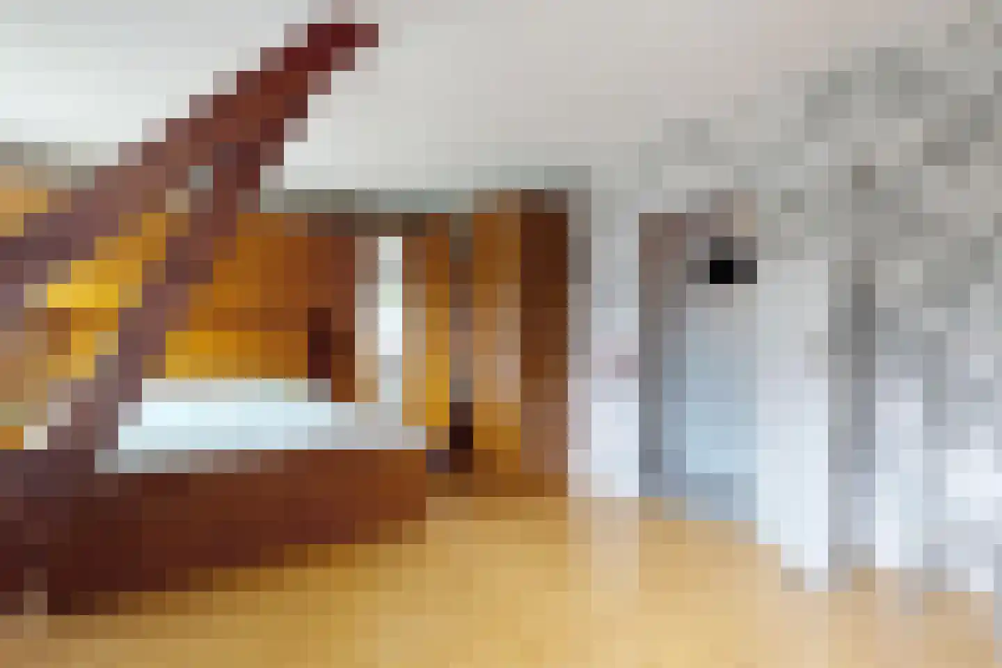 Bredaschedijk 4 Zevenbergschen Hoek thumbnail 40