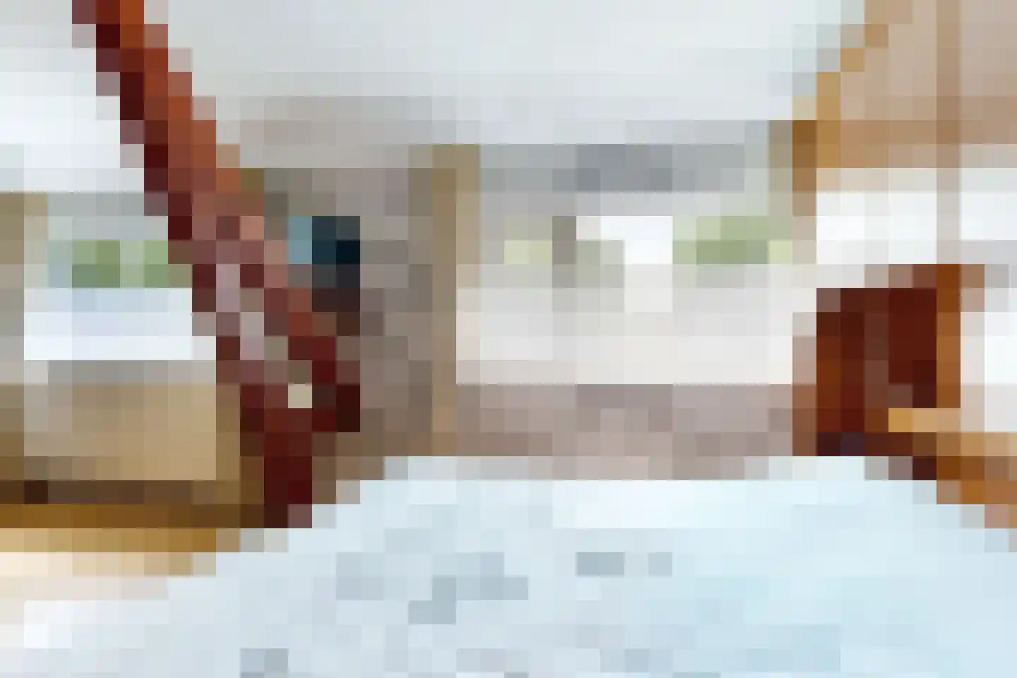 Bredaschedijk 4 Zevenbergschen Hoek thumbnail 42