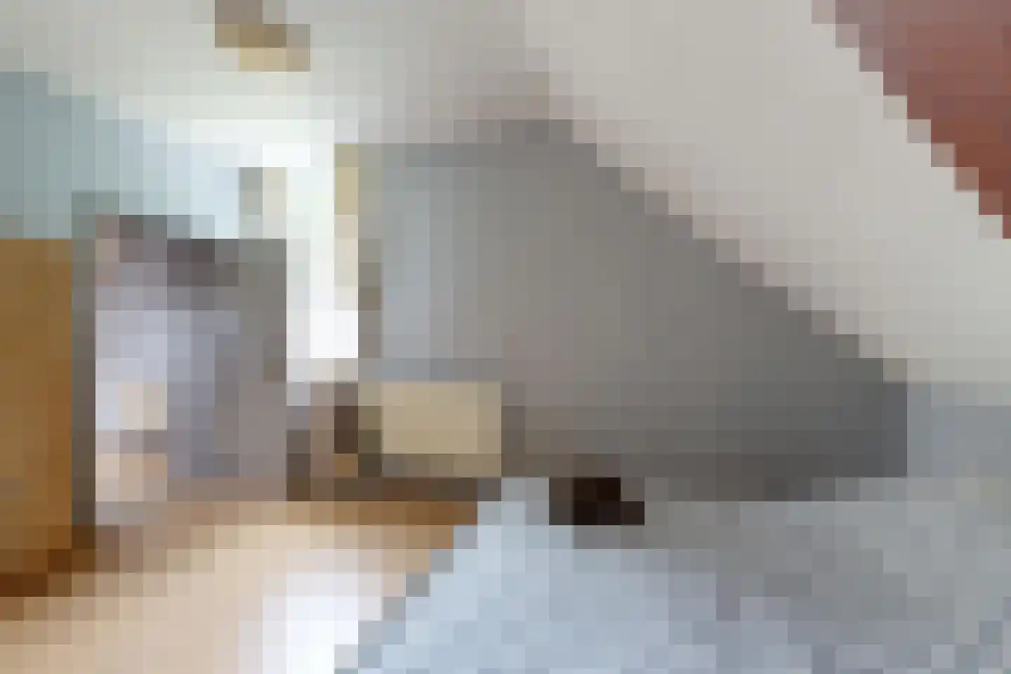 Bredaschedijk 4 Zevenbergschen Hoek thumbnail 47