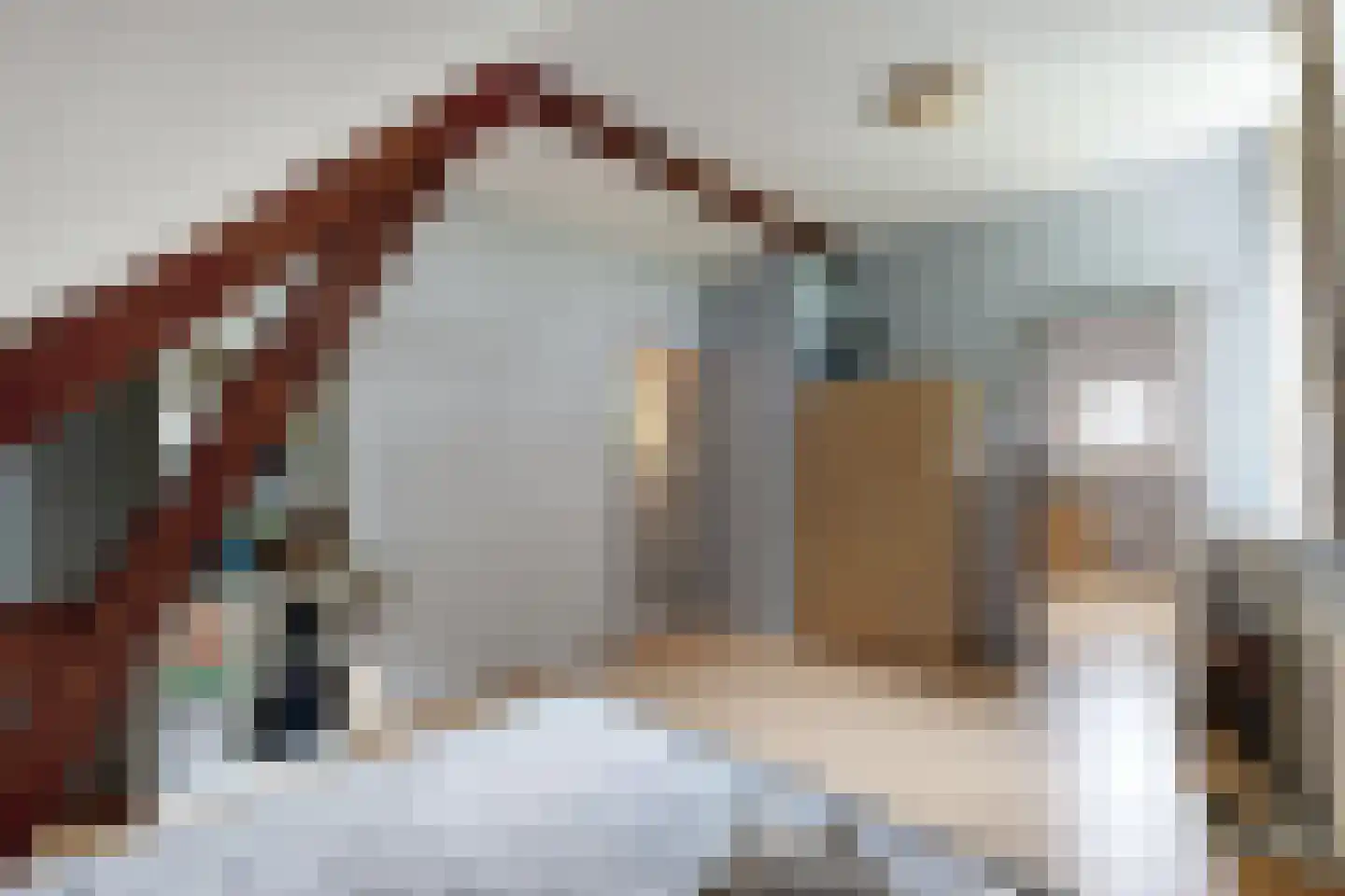Bredaschedijk 4 Zevenbergschen Hoek thumbnail 48