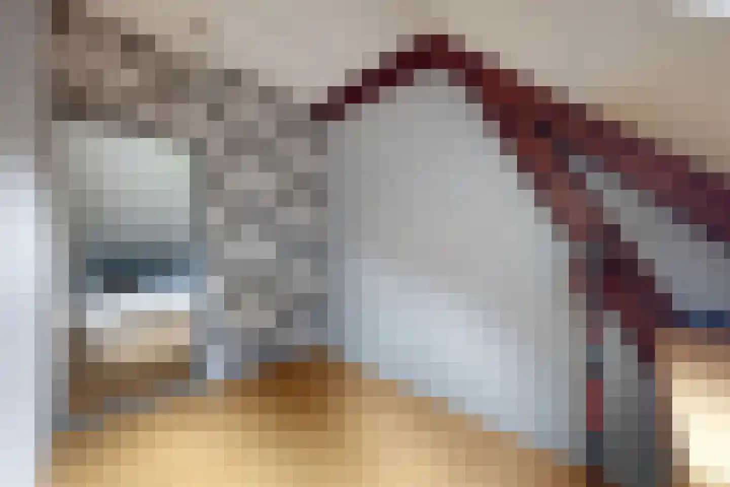Bredaschedijk 4 Zevenbergschen Hoek thumbnail 49